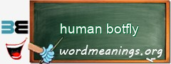 WordMeaning blackboard for human botfly